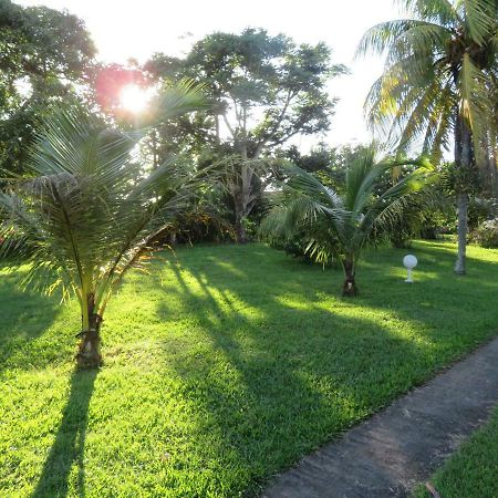 Ti Cajou Apartment Baie-Mahault Ngoại thất bức ảnh